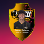 Gallegos Player card